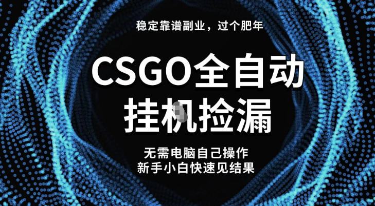 【稳定副业】全球最热门游戏CSGO全自动捡漏，最新玩法，新手小白日入5张+【揭秘】-青禾学社