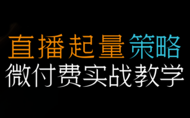 半野老师·直播带货起量与微付费必学课视频号-青禾学社