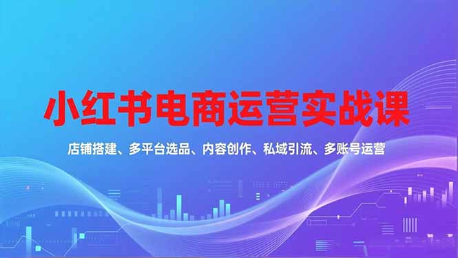 小红书电商运营实战课，店铺搭建、多平台选品、内容创作、私域引流、多账号运营等玩法-青禾学社