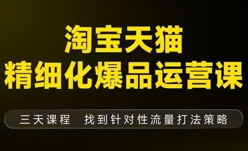 猫课子幽·淘宝天猫精细化爆品运营【音频+字幕+文档】(9月12-14杭州线下课)-青禾学社