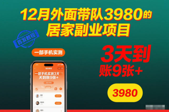 12月外面带队3980的居家副业项目,一部手机实测3天到账9张+,首发教程【揭秘】-青禾学社