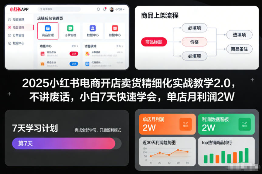 2025小红书电商开店卖货精细化实战教学2.0，不讲废话，小白7天快速学会，单店月利润2W-青禾学社