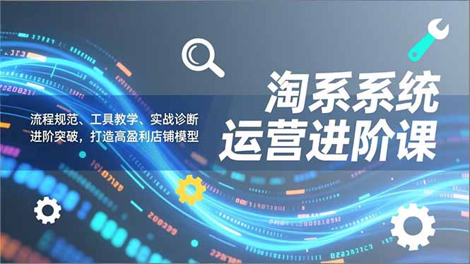 淘系系统运营进阶课2.0，流程规范、工具教学、实战诊断，进阶突破，打造高盈利店铺模型-青禾学社