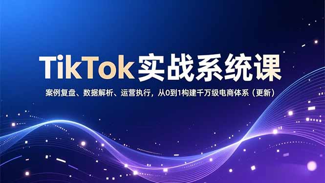 TikTok实战系统课，案例复盘、数据解析、运营执行，从0到1构建千万级电商体系(更新-青禾学社