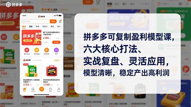 拼多多可复制盈利模型课，六大核心打法、实战复盘、灵活应用，模型清晰，稳定产出高利润-青禾学社