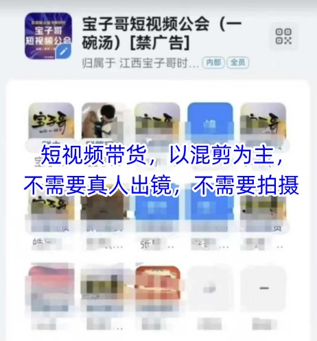 宝子哥头部团队短视频带货，以混剪为主，不需要真人出镜，不需要拍摄【更新12月】-青禾学社