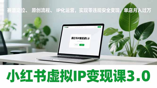 小红书虚拟IP变现课3.0，赛道定位、原创流程、IP化运营，实现零违规安全变现，单店月入过万-青禾学社