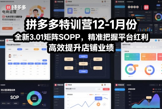 拼多多特训营12-1月份，全新3.01矩阵Sop，精准把握平台红利，高效提升店铺业绩-青禾学社
