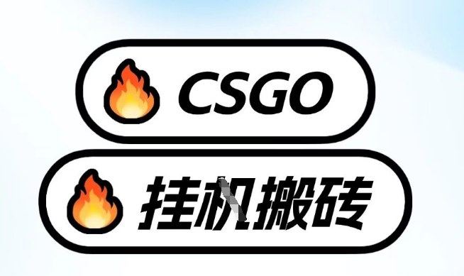 真全网独家CSGO挂G,最新玩法,单日捡漏1K+,不用电脑,不用打游戏【揭秘】-青禾学社