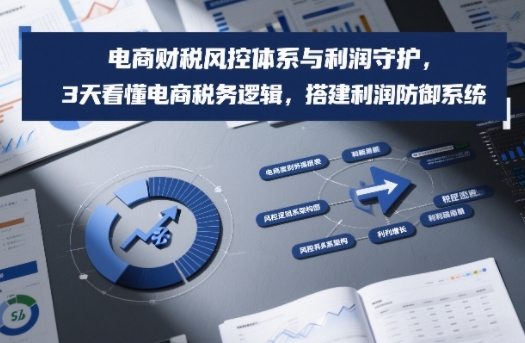 电商财税风控体系与利润守护，3天看懂电商税务逻辑，搭建利润防御系统-青禾学社