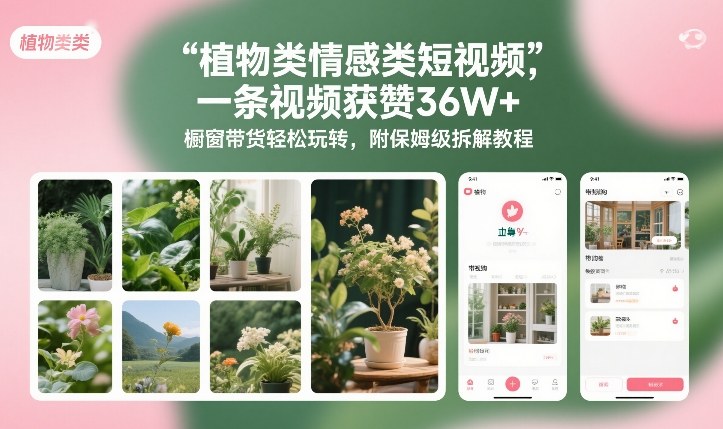 植物类情感类短视频，一条视频获赞36W+，橱窗带货轻松玩转，附保姆级拆解教程-青禾学社