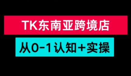 TikTok东南亚跨境从0-1认知实操课-青禾学社