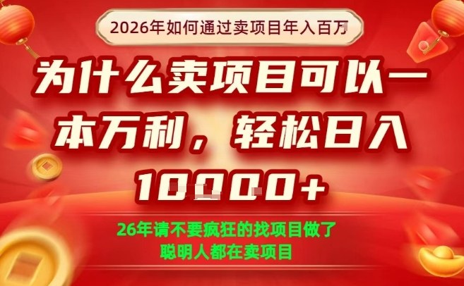 一单净利润1K+，26年想年入100个W，死磕卖项目就够了【揭秘】-青禾学社