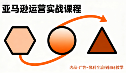 毕方电商·亚马逊全站会员课程(更新3月)-青禾学社