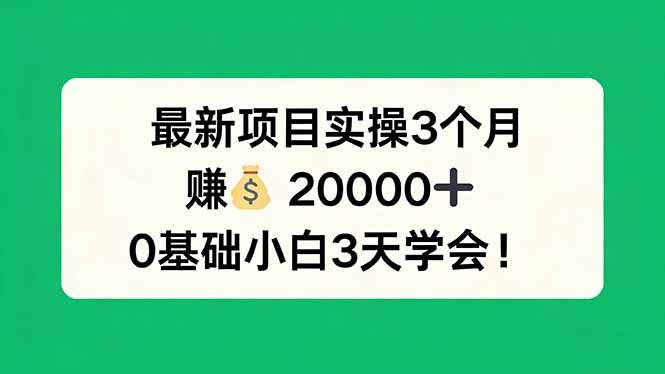 最新项目实操3个月，赚钱20000+，0基础小白3天学会！-青禾学社