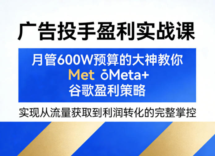 广告投手盈利实战课，月管600W预算的大神教你Meta+谷歌盈利策略，实现从流量获取到利润转化的完整掌控-青禾学社