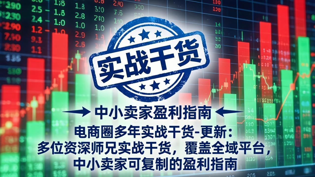 电商圈多年实战干货-更新5月10：多位资深师兄实战干货/覆盖全域平台，中小卖家可复制的盈利指南-青禾学社