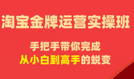 飓风电商·淘宝金牌运营实操班-青禾学社