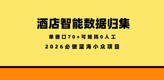 酒店智能数据归集，小众蓝海已经稳定半年之久，单窗口70+零成本矩阵开干【揭秘】-青禾学社