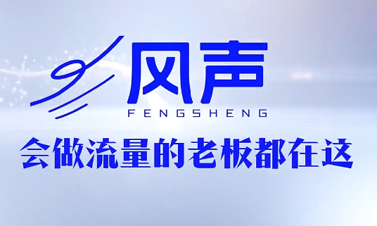 董十一·风声短视频AI获客年度会员-青禾学社