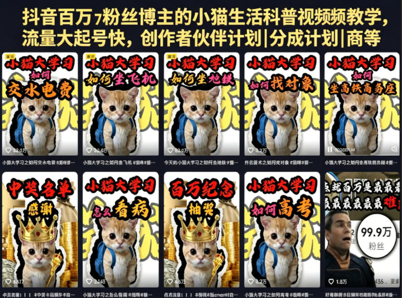 抖音百万粉丝博主的小猫生活科普视频教学，流量大起号快，创作者伙伴计划|分成计划|商单|收徒等-青禾学社