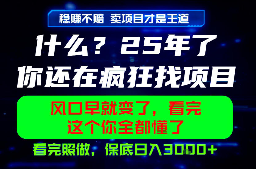 26年，请不要疯狂的找项目做了！卖项目才是真的稳賺不赔，看完照做，保底日入1k+【揭秘】-青禾学社