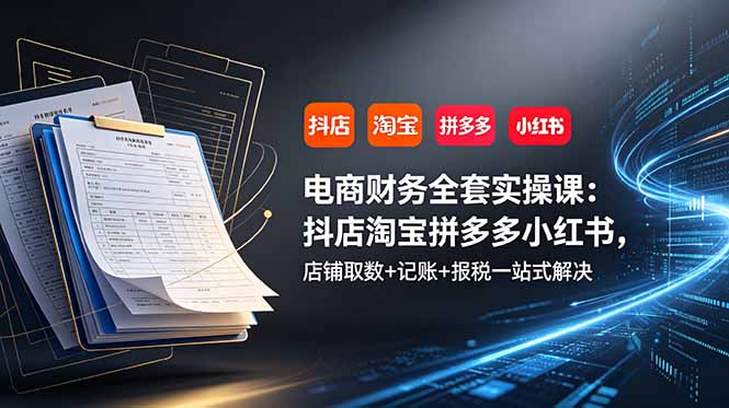 电商财务全套实操课：抖店淘宝拼多多小红书，店铺取数+记账+报税一站式解决-青禾学社