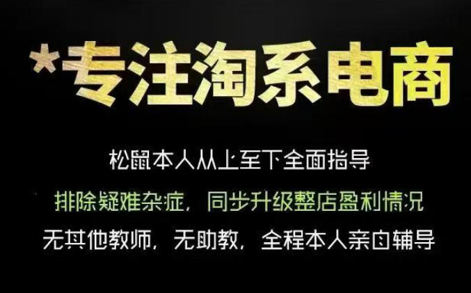 松鼠会电商VIP课程，从基础布局到高阶优化，助你掌握淘宝运营逻辑，提升店铺流量与转化-青禾学社