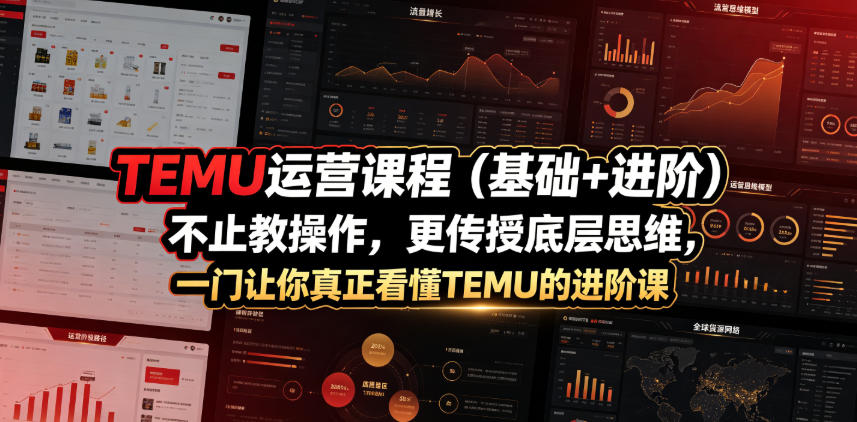 TEMU运营课程(基础+进阶)，不止教操作，更传授底层思维，一门让你真正看懂TEMU的进阶课-青禾学社