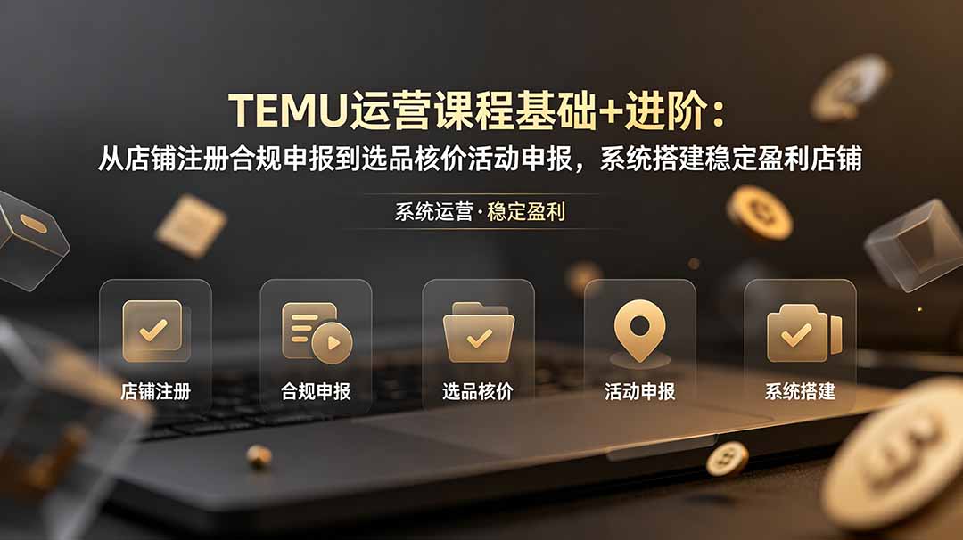 TEMU运营课程(基础+进阶-青禾学社