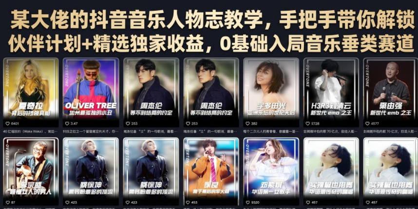 某大佬的抖音音乐人物志教学，手把手带你解锁伙伴计划+精选独家收益，0基础入局音乐垂类赛道-青禾学社