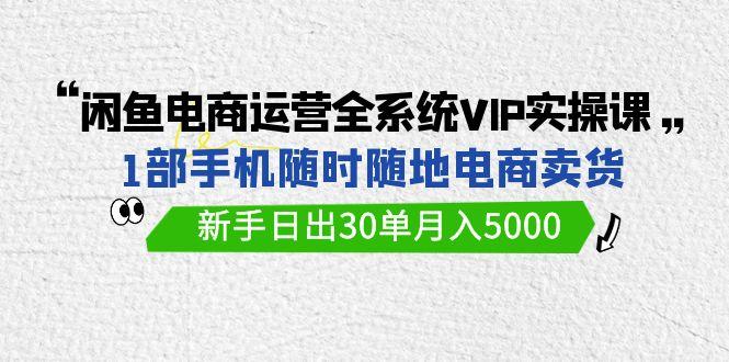(9547期)闲鱼电商运营全系统VIP实战课,1部手机随时随地卖货,新手日出30单月入5000-青禾学社