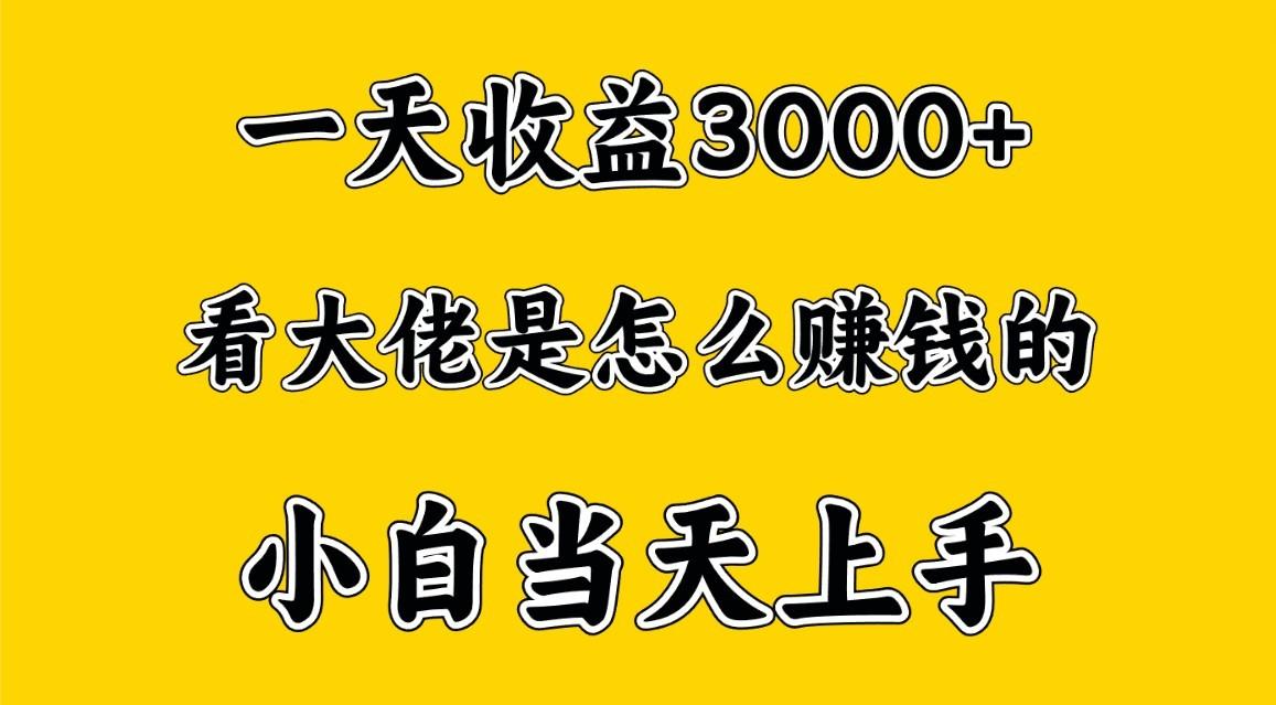 一天赚3000多,大佬是这样赚到钱的,小白当天上手,穷人翻身项目-青禾学社