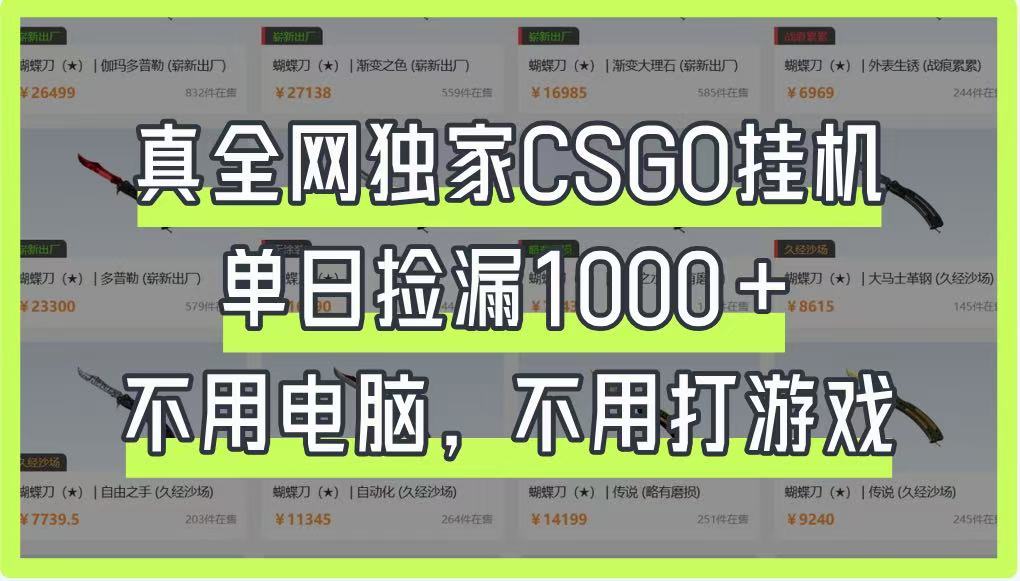 真全网独家CSGO挂机,单日捡漏1000+,不用电脑,不用养号-青禾学社