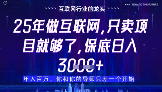 什么!25年你还在找项目做?风口早就变了,卖项目才是稳挣不赔【揭秘】-青禾学社