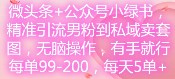 微头条+公众号小绿书,精准引流男粉到私域卖套图,无脑操作,有手就行,每单99-200,每天5单-青禾学社