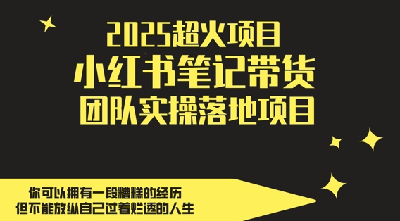 2025超火项目，副业最佳选择，小红书笔记带货团队实操落地项目，，轻松日入5张-青禾学社