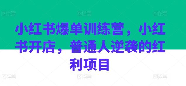 小红书爆单训练营，小红书开店，普通人逆袭的红利项目-青禾学社
