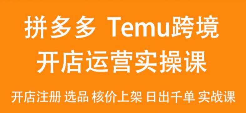2024Temu最新玩法，Temu跨境开店运营实操课，开店注册/选品/核价上架/日出千单实战课-青禾学社