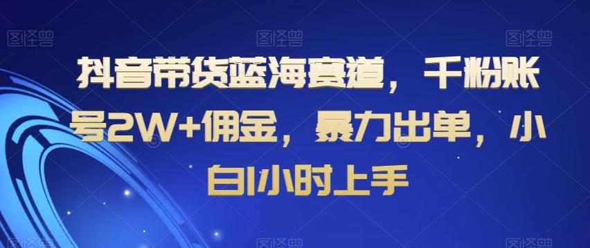 抖音带货蓝海赛道，千粉账号2W+佣金，暴力出单，小白1小时上手【揭秘】-青禾学社