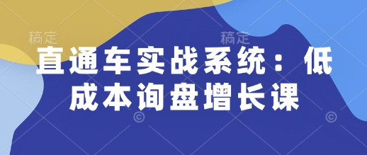 直通车实战系统:低成本询盘增长课,让个人通过技能实现升职加薪,让企业低成本获客,订单源源不断-青禾学社