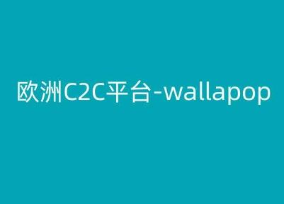 欧洲C2C平台-wallapop-kim跨境电商教程-青禾学社