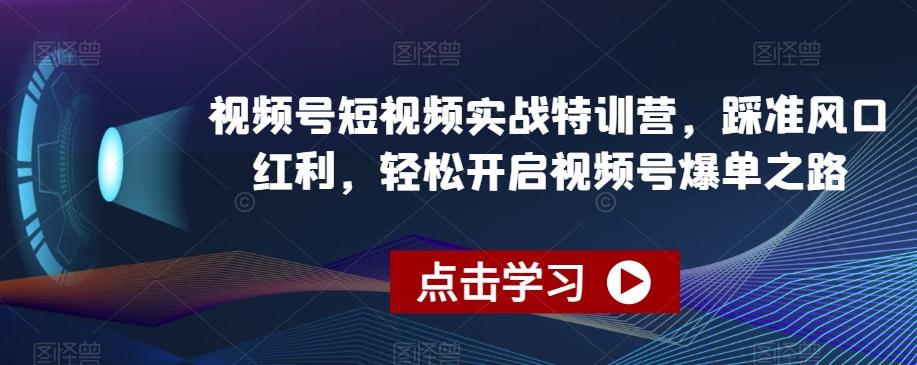视频号短视频实战特训营，踩准风口红利，轻松开启视频号爆单之路-青禾学社