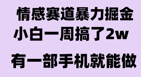 情感暴力掘金项目,新人操作一周挣了2W,长期稳定小白可做【揭秘】-青禾学社