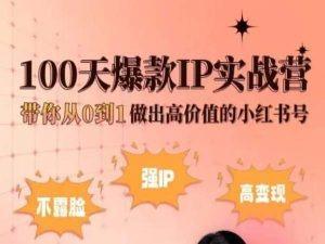 小红书100天爆款IP实战营,带你从0到1做出高价值的小红书号-青禾学社