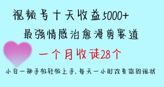 十天收益5000+，多平台捞金，视频号情感治愈漫剪，一个月收徒28个，小白一部手机轻松上手【揭秘】-青禾学社