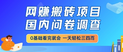 网创搬砖项目，国内问卷调查，小白轻松上手，一天三四张的也不难，干就完了【揭秘】-青禾学社