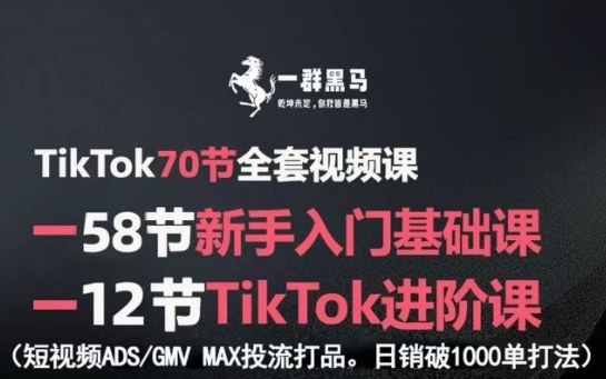 TikTok全套视频课,新手入门+进阶课,短视频ADS-GMV MAX投流打品,日销破1000单打法-青禾学社