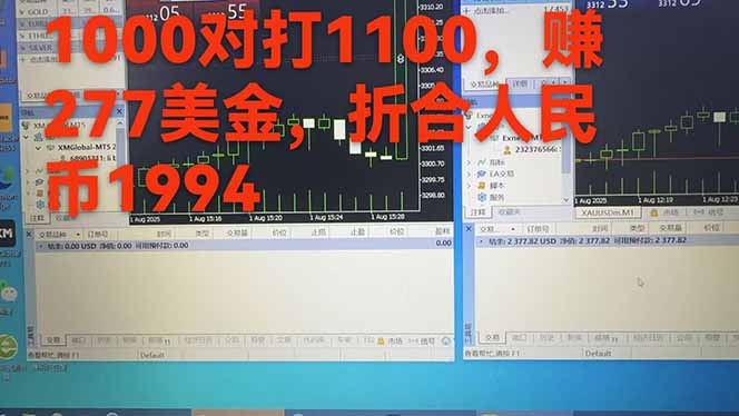 稳定8年的美刀搬砖项目,单人每日收益800—3000.团队4人月入10W+.可线下-青禾学社