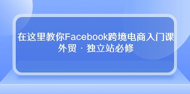 在这里教你Facebook跨境电商入门课，外贸·独立站必修-青禾学社